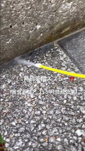 アリ駆除！ベイト剤！根本解決