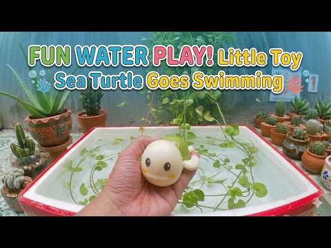 FUN WATER PLAY! Little Toy Sea Turtle Goes Swimming ! 🐢💦 PART #1