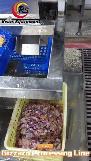 Eruis Chicken Gizzard Processing Line