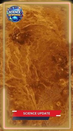 Could Life on Venus Actually Have Come From Earth? New Study Reveals