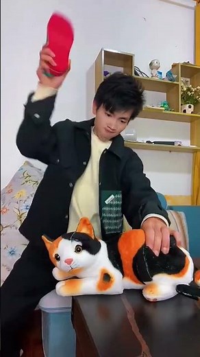 Owner Teaches Cat a Lesson in the Most Hilarious Way 😂