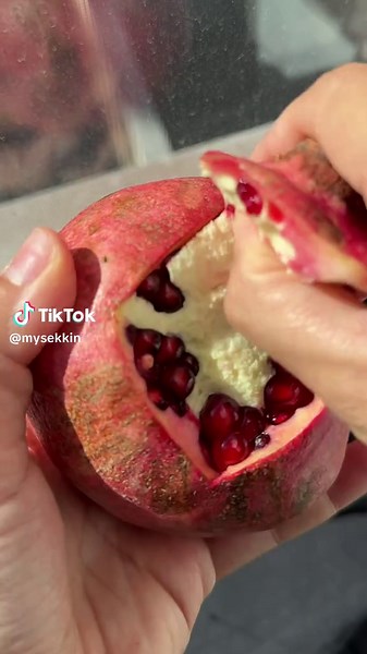 SEKKIN Paring Knife: The Perfect Kitchen Tool