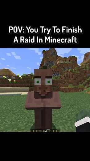 POV: You Try To Finish Raid In Minecraft #minecraft #minecraftmemes #funnymoments | Saroneymc