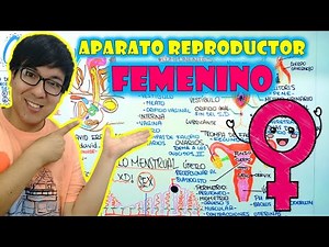 [ FREE BIOLOGY ] - FEMALE REPRODUCTIVE SYSTEM🎈❤🐧🍎