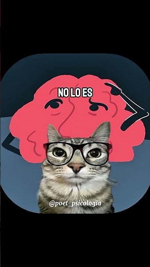 What does psychology say about your favorite color? Yellow. 🐱🟡 #poet_psicologia #fyp #foryou #fyp