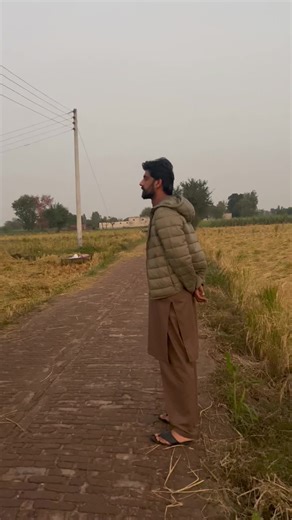 Rural Agricultural Activities: Loading Grain into Trucks