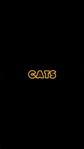 😂 BEST Hilarious Cat Videos: Epic Fails & Adorable Cute Moments! 😂