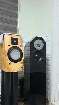 Celebrate Me [ IngaRose ] HiFi ROSE RS-451 PASS INT 150 EgglestonWorks Dianne