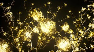 Nueva serie #Nikon Mirrorless Z, Full-Frame, eleva la #fotografía al siguiente nivel. Con la revolucionaria montura Z, podrán capturar cada detalle con poca luz o alta velocidad, con una resolución deslumbrante. #Mirrorless #CapturaElMañana #NikonZ | Nikon Colombia