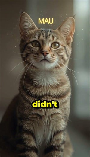 The ‘M’ on Your Cat Has an Ancient Egyptian Meaning