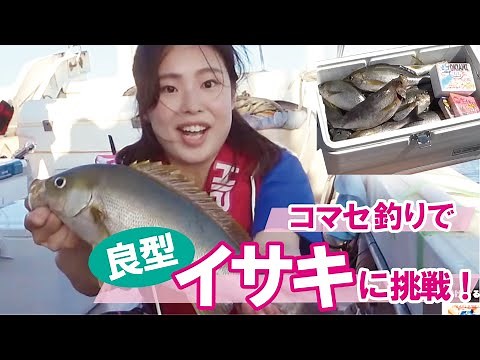 コマセ釣りで良型イサキに挑戦！／船釣り