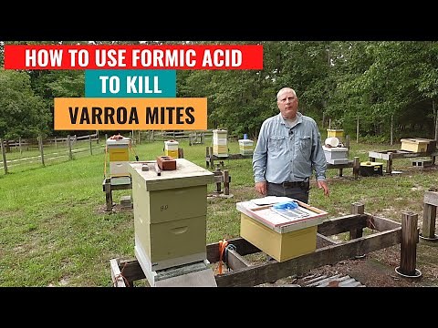 How to Use Formic Acid to Kill Varroa Mites