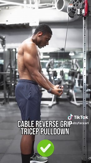 Cable Reverse Grip Tricep Pulldowns - Best Tricep Exercise for Size