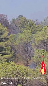 El foc de dijous passat a Porrera va comptar amb un gran aliat pels bombers: va ser la vinya de la Coma d'en Romeu, del Celler Nin Ortiz que van fer de tallafoc natural, d'aquí la importància del Mosaic Agroforestal | La Provincia de Tarragona