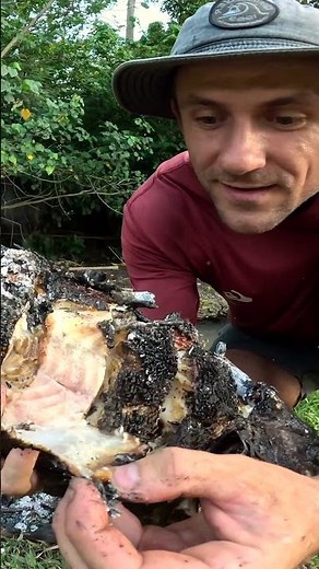 BIGGEST Fish Caught with Primitive Skills in the Jungle 6