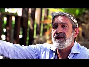 The Descendant: The Journey of a Radicalized Jew