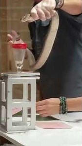 Reptile Discovery Center in Deland FLA