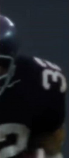 Immaculate Reception? Did the tip of the ball hit the ground?