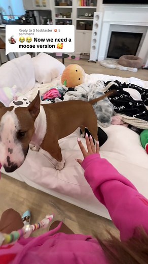 Replying to @S fosblaster 💥 I SWEAR I TRIED HAHAHAHAHHA | Moose The Dog