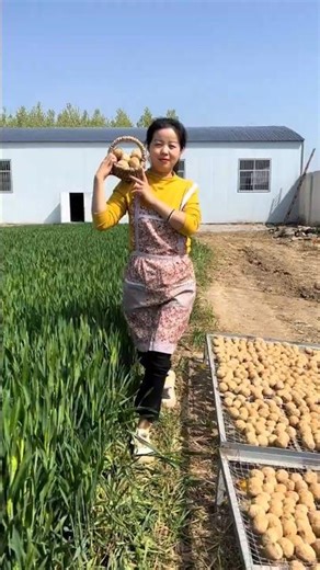 🥰 Satisfying with delicious food 🥳 #shorts #streetfood #satisfying
