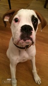 Ohio Virtual Academy on Reels