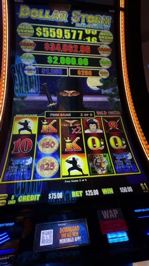 Ninja Mode Activated 🥷 #slots #casino #slotscasinogames #casinogame #slot