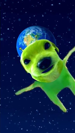 Dog dancing in space #Dogdancing