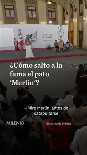 The Story of 'Merlin' the Duck: From Selling Water on the Street to Going Viral on TikTok