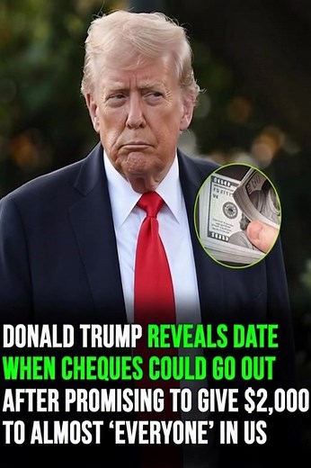The president shared a new update, and the criteria have been explained Details 👇😨💬 | The American Ledger