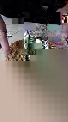 2.1M views · 50K reactions | This is golden milk, some people also...