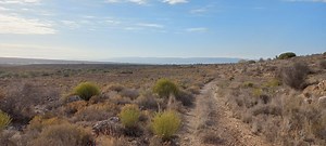 R 695 000 | 9.5 ha Farm in Calitzdorp | Private Property