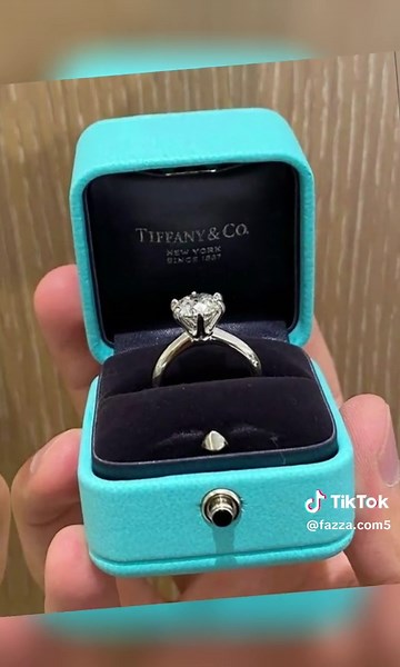 Sheikh hamdan Mohammed bin…. (@fazza.com5)’s videos with original sound - Love Zone🌹