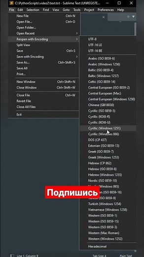 Как сделать spam сообщений на python