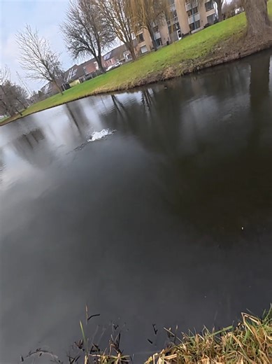 finally a pike after a number of blank sessions👌🏼 ° ° ° #baitcaster #jerkbait #pike #fishing #fyp