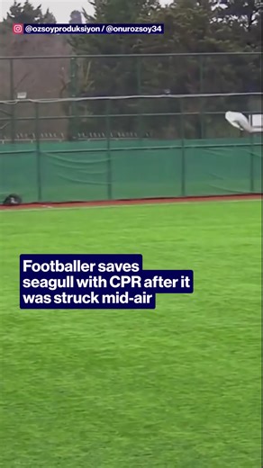 Istanbul League Final: Player Gives Seagull CPR