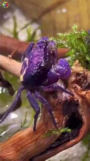 உங்களை உறையவைக்கும் Random Facts! 😱 #shorts #reels #foryou #viralshorts #justboomfact