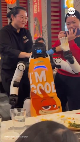 Dancing robot gets too funky, has to be restrained