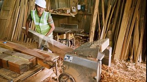 Carpenter trims plank using high speed table cutter