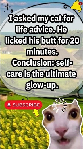 SELF-CARE ACCORDING TO MY CAT! 😂💅 #SHORTS