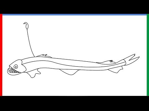 How to draw a Viperfish step by step for beginners