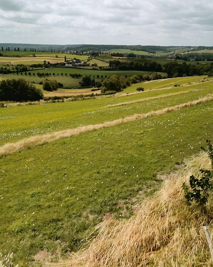 45 reactions | Visit Netherlands on Reels | Facebook