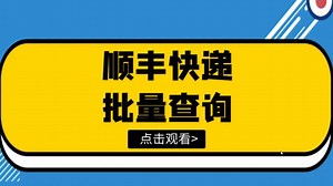 中通、顺丰运单追踪查询，教你批量查询无数个运单号的物流信息