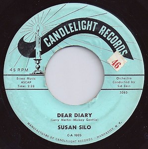Susan Silo - Dear Diary / Don't Ever Cheat