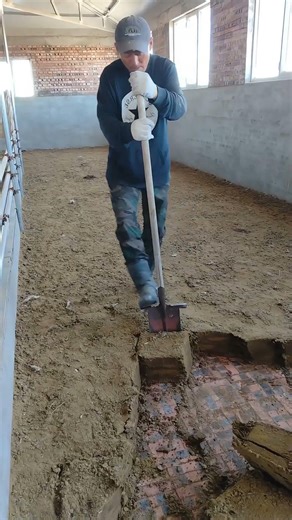 The Key Step to a Healthy Barn: Changing the Bedding