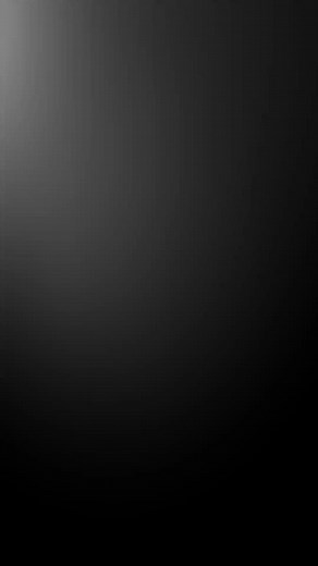 Kung Fu Cat: Snake Dragon Technique and Hammer Punch