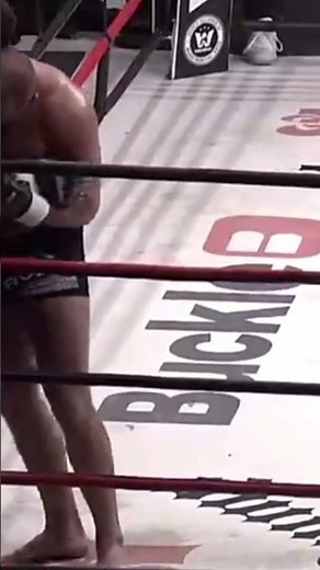 🇷🇺 Fedor Emelianenko vs 🇧🇾 Andrei Arlovski | EPIC KO | MMA Fight Highlights HD
