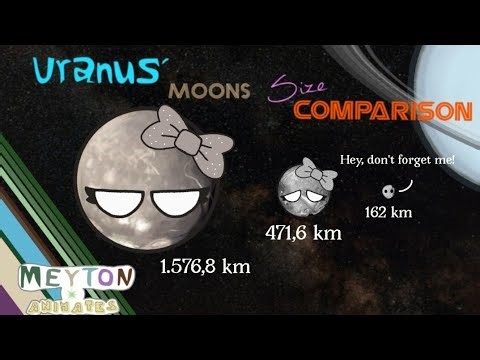Uranus' Moons Size Comparison in Planetballs' || By Meyton Animates