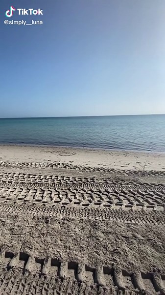 Simply Luna on TikTok