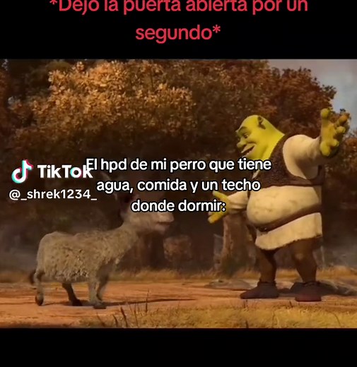 Memes de Shrek y Perros Graciosos