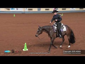 2020 AQHA Senior Western Riding